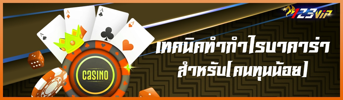 เทคนิคทำกำไรบาคาร่าสำหรับ(คนทุนน้อย)
