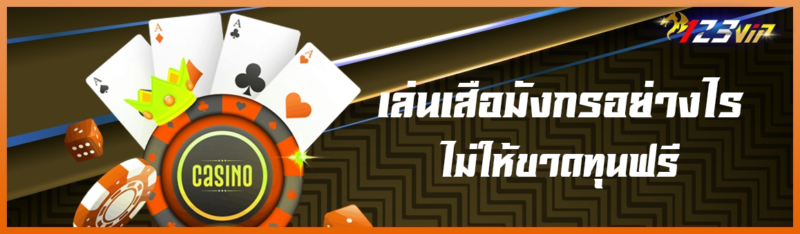 เล่นเสือมังกรอย่างไรไม่ให้ขาดทุนฟรี
